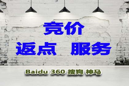 揭秘sem百度竞价背后的成功秘诀与案例