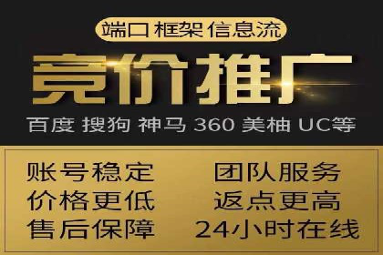 案例研究：竞价广告助力电商行业增长